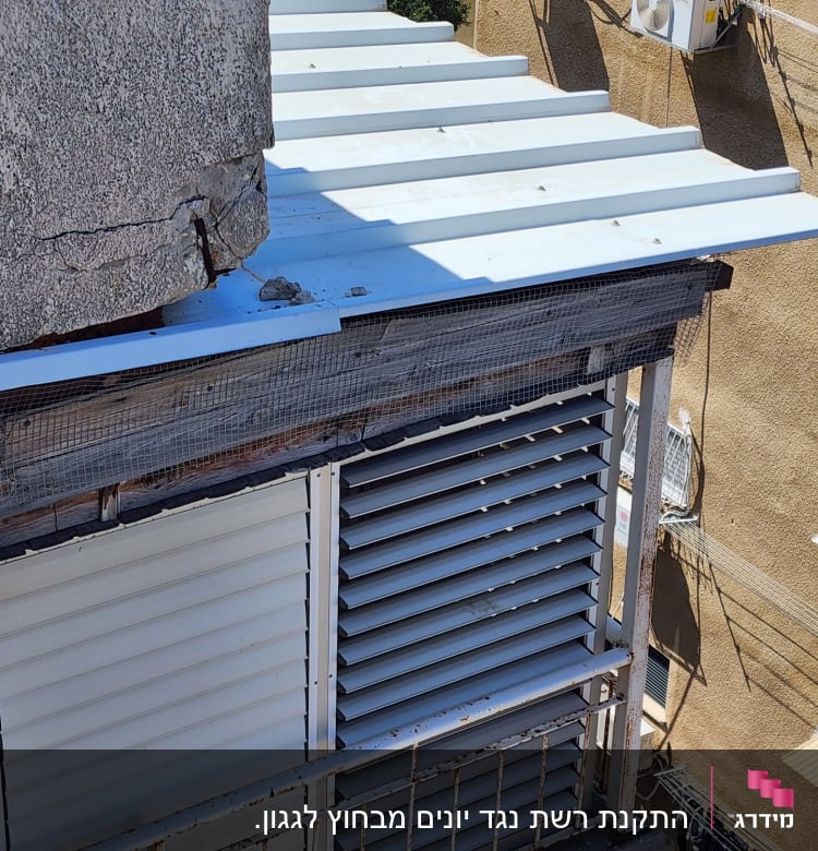 רשת מתכת מותקנת למניעת כניסת יונים לגג